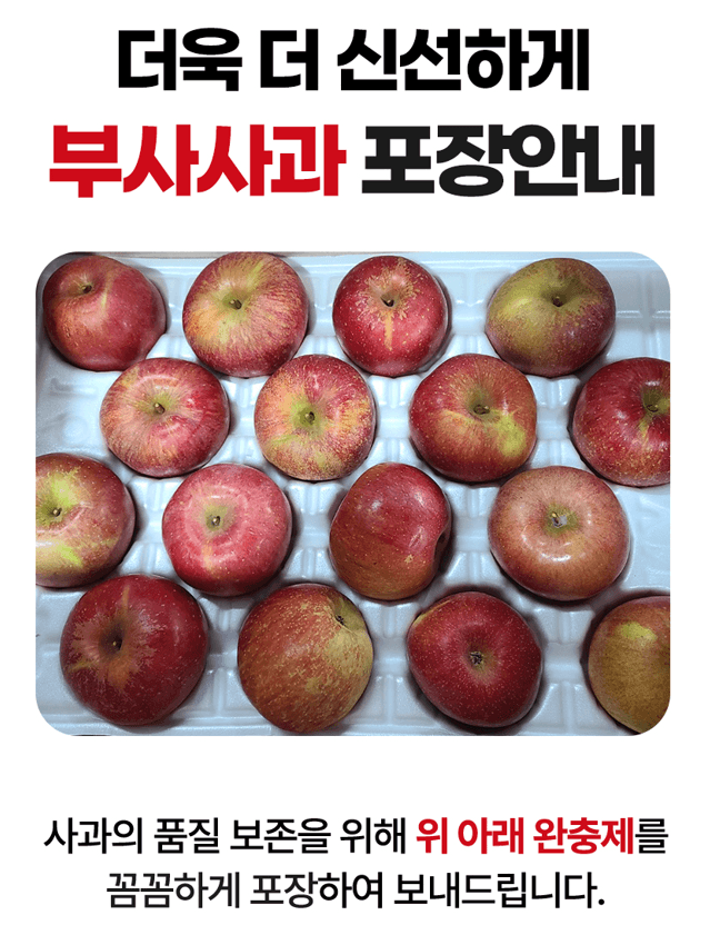 스피드번님의 장터 판매 상품 [못난이 부사사과 ] 첨부 사진