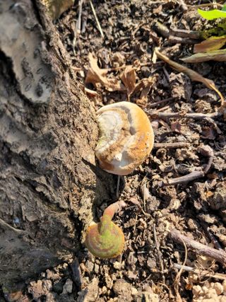 우경농원님의 자유주제 · 자유게시판 작성글 사진