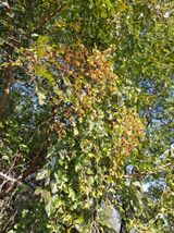 팜모닝 자유주제·자유게시판 게시글 이미지