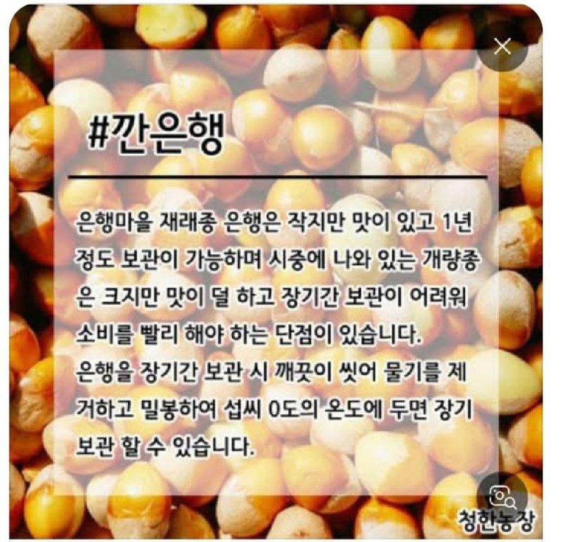 정찬영님의 장터 판매 상품 [25년,피은행] 첨부 사진