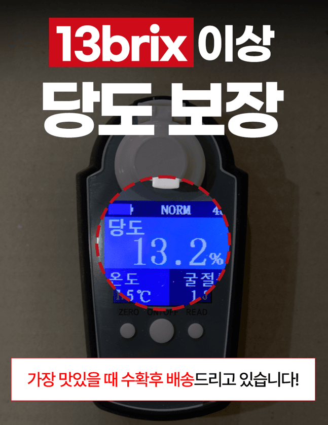 스피드번님의 장터 판매 상품 [못난이 부사사과 ] 첨부 사진