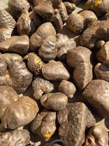 팜모닝 · 게시글 이미지