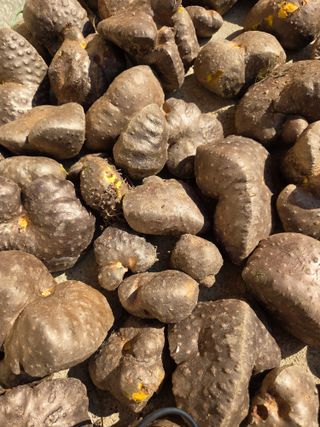 knlee님의 작성글 사진