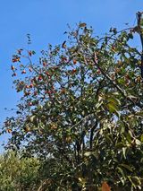 팜모닝 자유주제·자유게시판 게시글 이미지