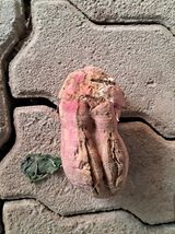 팜모닝 자유주제·자유게시판 게시글 이미지