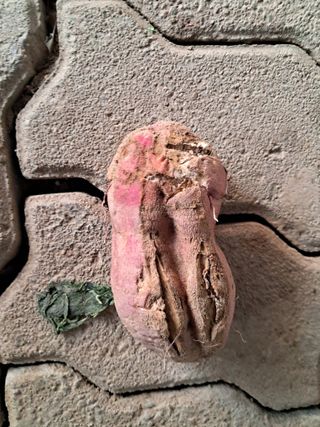 김용갑님의 자유주제 · 자유게시판 작성글 사진