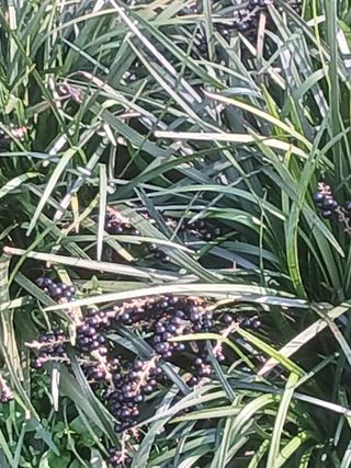 무료지식나눔 팜닥터님의 자유주제 · 사진전 작성글 사진