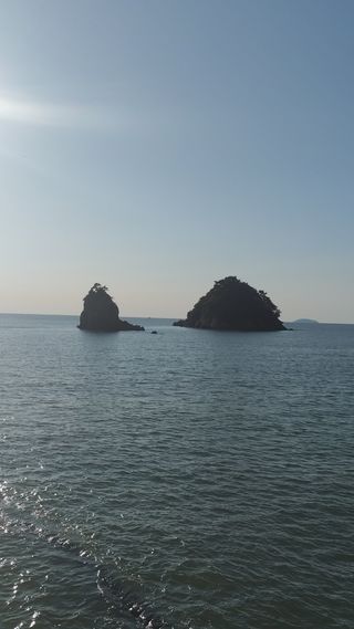 윤충기님의 자유주제 · 자유게시판 작성글 사진