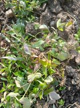 팜모닝 자유주제·자유게시판 게시글 이미지