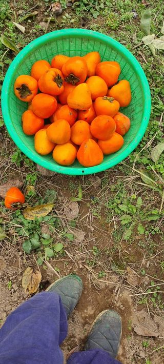 양반님의 자유주제 · 자유게시판 작성글 사진