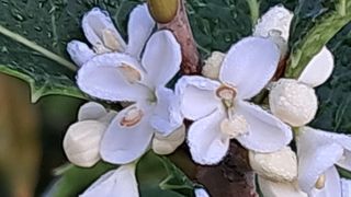 이정운님의 자유주제 · 자유게시판 작성글 사진