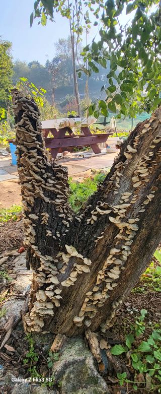 양일봉님의 자유주제 · 자유게시판 작성글 사진