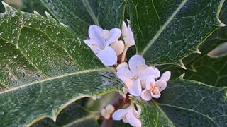 이정운님의 자유주제 · 자유게시판 작성글 사진