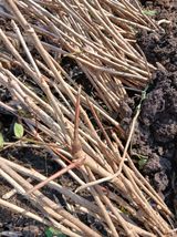 팜모닝 자유주제·자유게시판 게시글 이미지