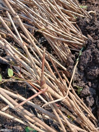 무료지식나눔 팜닥터님의 자유주제 · 자유게시판 작성글 사진
