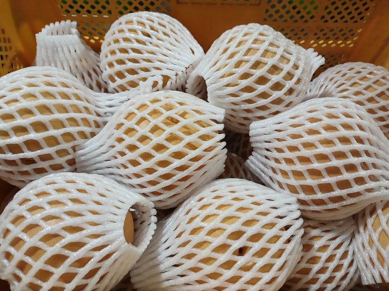 허용구님의 장터 판매 상품 [배(신고) 10kg] 첨부 사진