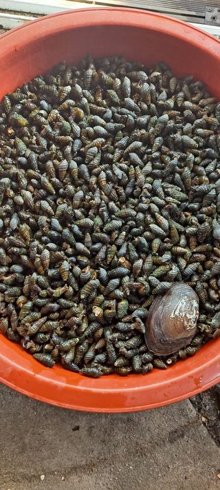 백순분님의 작성글 사진