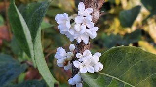 이정운님의 자유주제 · 자유게시판 작성글 사진