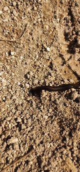 팜모닝 자유주제·자유게시판 게시글 이미지