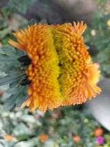 팜모닝 자유주제·자유게시판 게시글 이미지