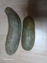 팜모닝 자유주제·자유게시판 게시글 이미지