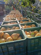 팜모닝 · 게시글 이미지