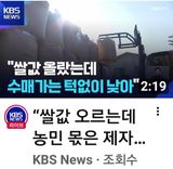 권리를위한투쟁님의 벼·자유게시판 작성글 사진