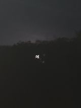 팜모닝 자유주제·자유게시판 게시글 이미지