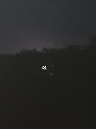 안비님의 자유주제 · 자유게시판 작성글 사진