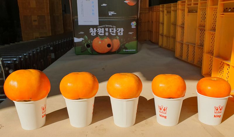 김성욱님의 장터 판매 상품 [꿀당도 제철 부유단감 5kg, 10kg(산지직송/무료배송)] 첨부 사진