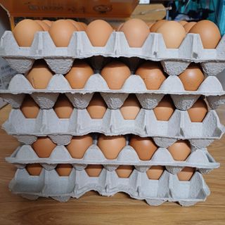 삼성농산님의 자유주제 · 자유게시판 작성글 사진