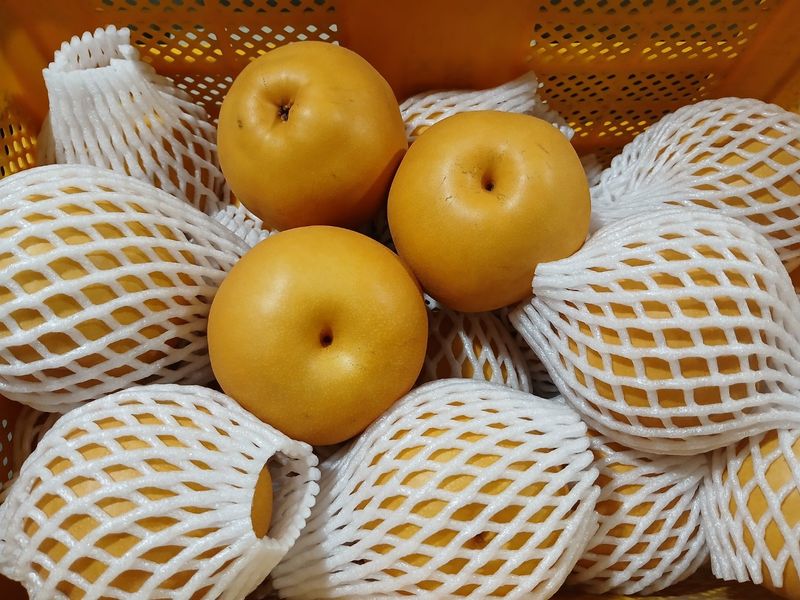 장터 상품 [배(신고) 10kg] 썸네일