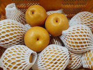 허용구님의 작성글 사진