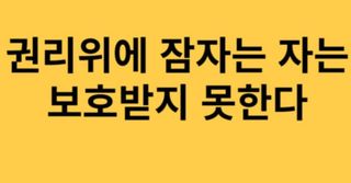 권리를위한투쟁님의 벼 · 자유게시판 작성글 사진