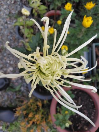 조명희님의 자유주제 · 자유게시판 작성글 사진