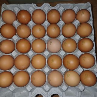 삼성농산님의 자유주제 · 자유게시판 작성글 사진