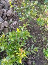 팜모닝 · 게시글 이미지