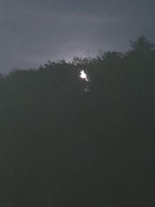 안비님의 자유주제 · 자유게시판 작성글 사진