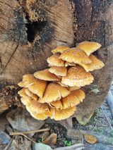 팜모닝 자유주제·자유게시판 게시글 이미지