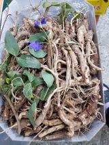 팜모닝 자유주제·자유게시판 게시글 이미지