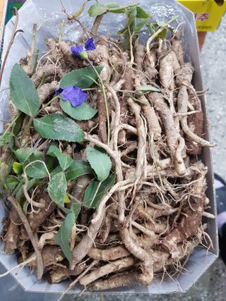 토마토님의 자유주제 · 자유게시판 작성글 사진