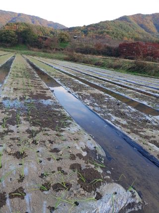 숲속의사나이님의 자유주제 · 자유게시판 작성글 사진
