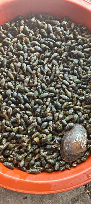 백순분님의 작성글 사진