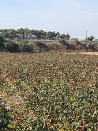 농업드론방제(전북)님의 자유주제 · 자유게시판 작성글 사진