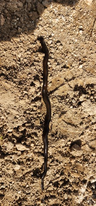 참깨16864님의 자유주제 · 자유게시판 작성글 사진