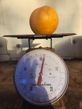 팜모닝 자유주제·자유게시판 게시글 이미지