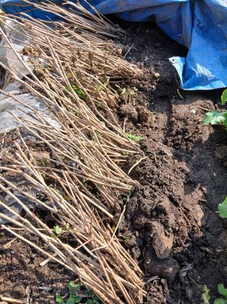 무료지식나눔 팜닥터님의 자유주제 · 자유게시판 작성글 사진