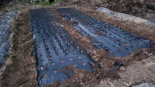 장석오님의 자유주제 · 자유게시판 작성글 사진