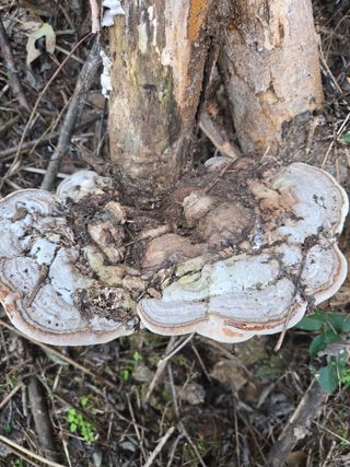전현문님의 자유주제 · 자유게시판 작성글 사진
