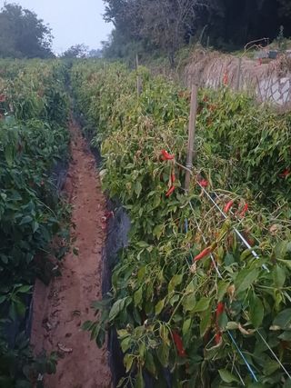 홍순오님의 자유주제 · 자유게시판 작성글 사진